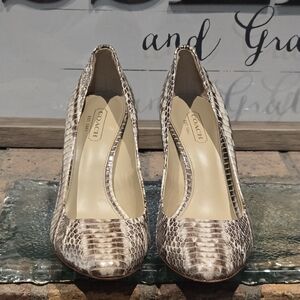 COACH Nala Snakeskin Print Heel Sz 6.5
